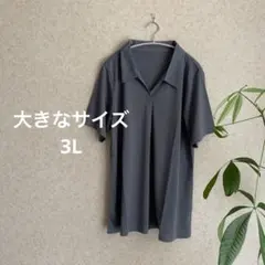 最終 新品 さらっと楽らく襟付きプルオーバー 3L ☺︎