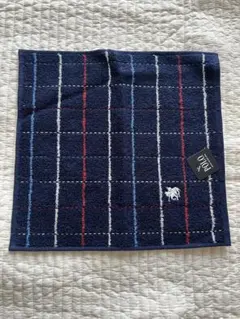 Item thumbnail for item 5d4f33ab-705b-4096-a9af-ff81d915317e