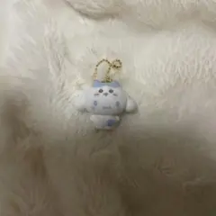 ちいかわ ハチワレ　シナモロール　フロッキー