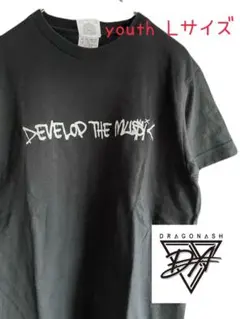 Dragon Ash Tour DEVELOP THE MUSIC Tシャツ