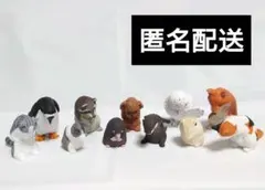 【中古】おじぎさん　動物　フィギュア　カプセルトイ 11体セット
