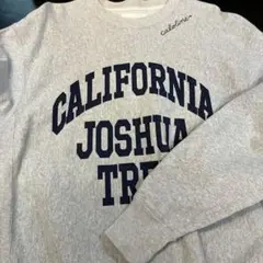 キャルオーライン