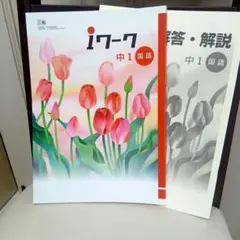 iワーク 中1 国語のサムネイル