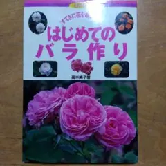 Item thumbnail for item 07e24efd-57b4-4830-a8c1-c411a6445c25