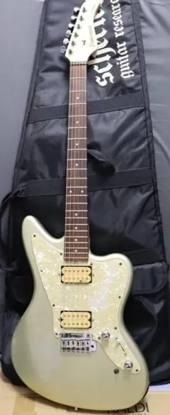 サスティナー付  Fernandes  JG-65S hide ロケダイ ケース 2025年最新】JG-65 FERNANDESの人気アイテム - メルカリ