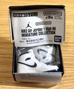 NIKE Air Jordan 1 High 85 メタリックネイビー
