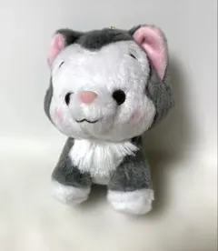 Item thumbnail for item cb3e5576-a16f-4f1c-b5d9-1b20816f81cd