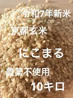 玄米】令和7年 昔ながらの「稲架掛け米」天日干し ササニシキ 10Kg