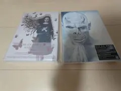 Innocent Grey NOIR クリアファイル 殻ノ少女 | Mercari
