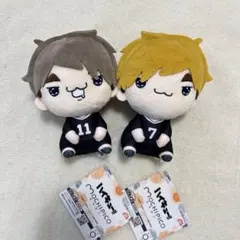 ハイキュー　もちぴこぬいぐるみ　宮治　宮侑　①