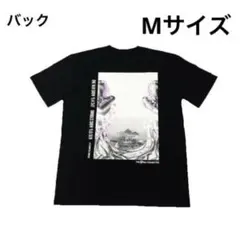 Item thumbnail for item 24e922e1-e87e-4b8e-9b47-f6b151920ec1