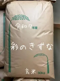 CP様 彩のきずな 30kgx2 60kg 2026年最新】彩のきずなの人気アイテム - メルカリ