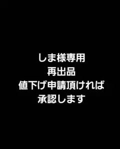 ELECOM 13インチ スリーブ BM-IBSVM2213CA