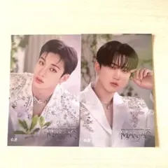 スキズ　オリジナルステッカー　バンチャン　チャンビン