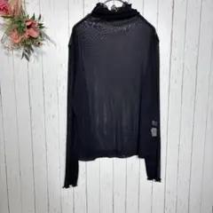 シースルーカットソー　【M】　ブラック　ハイネック　メロウフリル　長袖