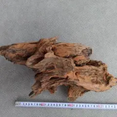 Item thumbnail for item 6d1a0b43-aabe-4d83-92f9-00c918b18115