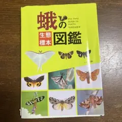 2026年最新】標本 蛾の人気アイテム - メルカリ