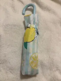 小川(Ogawa) サンリオ シナモロール 折りたたみ傘 55cm
