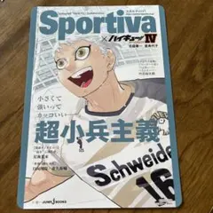 ハイキュー!! ショーセツバン 月島蛍 ビジュアルボード sportiva