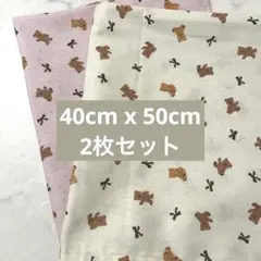 くまランチマット 2枚セット【314】