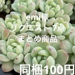 emi様 リクエスト 7点 まとめ商品