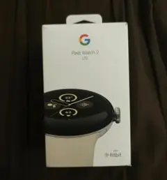 Google Pixel Watch2 (LTE) PolishedSilver