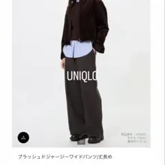 UNIQLO ブラッシュドジャージーワイドパンツ(丈長め)