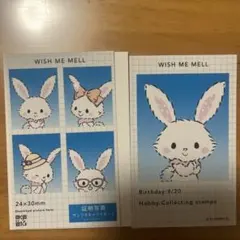 証明写真風スマロイド　ウィッシュミーメル