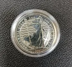 2013 ゴールデンゲートブリッジ 銀貨 プルーフ 2013 ゴールデンゲートブリッジ 銀貨 プルーフ - メルカリ
