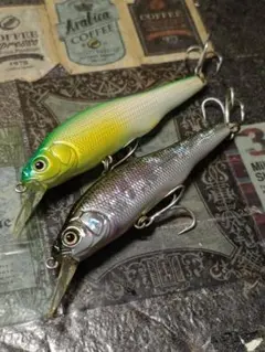 Item thumbnail for item 444f6839-967a-4376-9415-0264956b582f