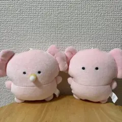 つぶらな瞳の水族館むぎゅぬい　その２/マスコットキーホルダー/うーぱーるーぱー