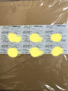 翌日到着予定　匿名配送　すかいらーくグループ　食事割引券　25%割引6枚　優待券