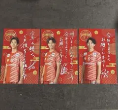 【限定】サントリーサンバーズ大阪　入場特典　柏田樹 藤中颯志 　下川諒 年賀状