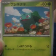 ポケモンカードゲーム フシギダネ