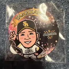 山川穂高 ソフトバンクホークス 缶バッジ