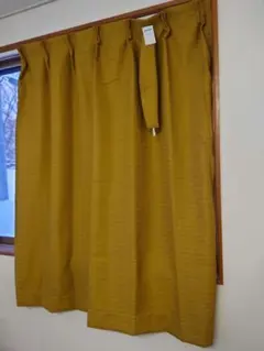 Item thumbnail for item 23ddd373-4f69-4e04-b974-fadc1eaabb3b