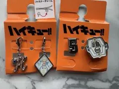 ハイキュー アベイル 鴎台 星海 Avail コラボ チャーム ピンズ
