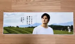 Item thumbnail for item 438882f9-b9ce-47a8-9691-70f78959bf5c