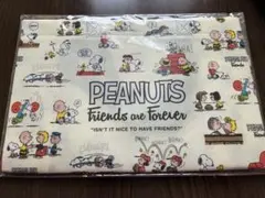 Item thumbnail for item 439dcd42-74df-4465-8a32-37dee31feb85