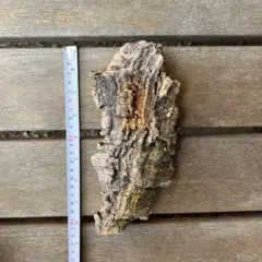 チャーミー様 リクエスト 3点 まとめ商品