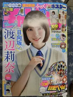 渡辺莉奈 直筆サイン、メッセージ入り ポスター 渡辺莉奈 直筆サイン、メッセージ入り ポスター