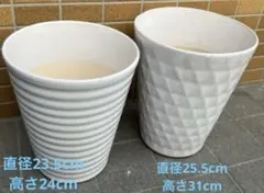 植木鉢 2個セット ホワイト 陶器製 大型 胡蝶蘭 - メルカリ