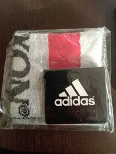 Item thumbnail for item 324fb306-8eba-40ba-9b35-1f1b77d0ba4a