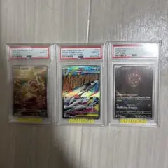 PSA10 ポケモンカード AR 3枚セット ポッチャマ ルガルガン ウールー