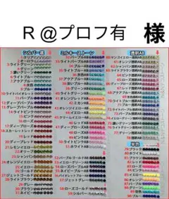 R @プロフ有　様　専用