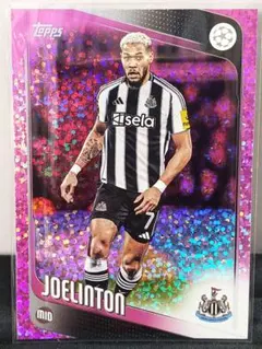 Item thumbnail for item 182ea01e-fee0-4d96-9126-df0d915d37d7