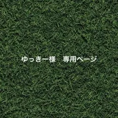 ゆっきー様　専用ページをお作りしました