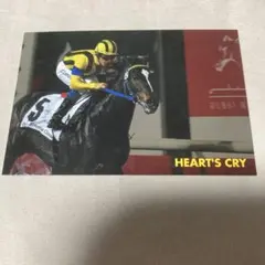 JRA特製　競馬 ポストカード 5枚セット