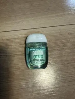 Bath & Body Works PocketBac OCEAN CITRUS