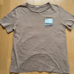 ワンポイントTシャツ